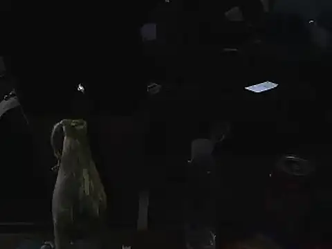 Bi_curious86 live sex cam