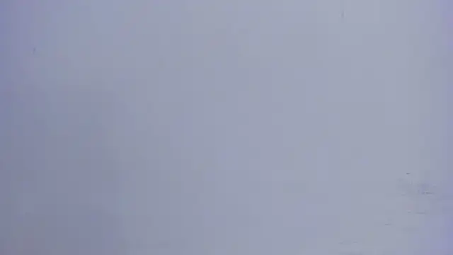 lia_quinn's cam snapshot