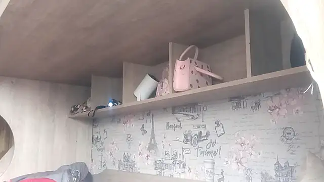 HepSoftener's cam snapshot