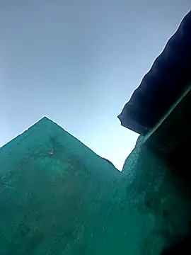 Rt_shreya live sex cam