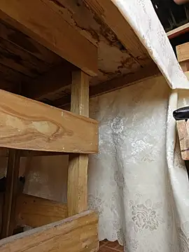 Isabellitasexi38 live sex cam