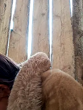 bonnie-00's cam snapshot