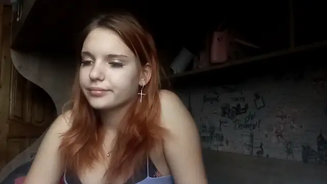 HepSoftener's cam snapshot