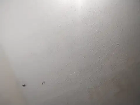 247Srokin live sex cam