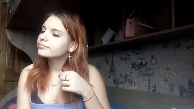 HepSoftener's cam snapshot