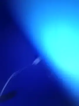 Villageanuty live sex cam