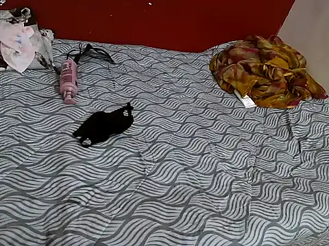 Lovelycouple25 live sex cam