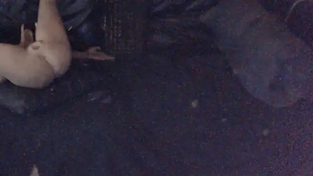 BISLETJE1980 live sex cam