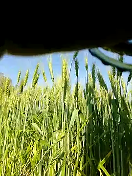 Jyoti_sekh's cam snapshot