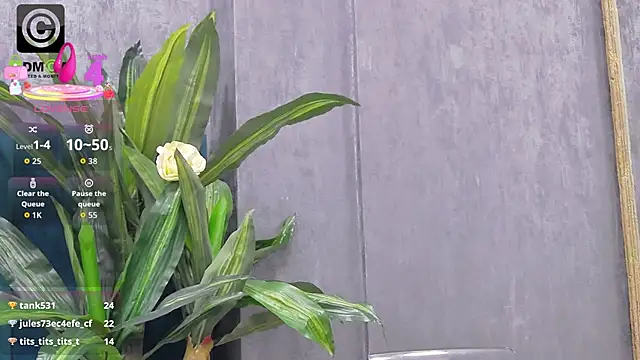 Roxie_Anne's cam snapshot