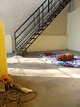 Chocolate_stud10's cam snapshot