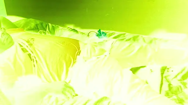 AlanDicksons live sex cam