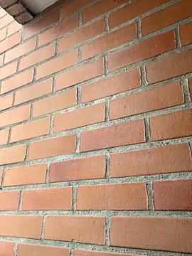 star_anastasia live sex cam