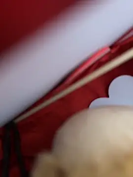 Manu97k live sex cam