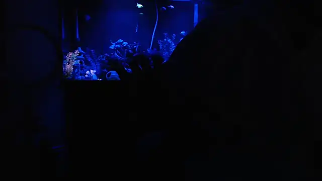 EspanolVato live sex cam