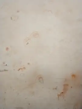 Sapna_baby1's cam snapshot