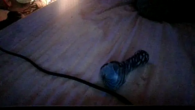 jaxx12369 live sex cam