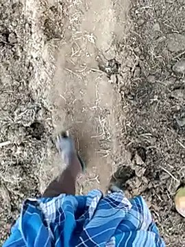 dolphiinn live sex cam