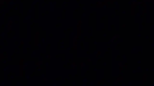 elogordo_ live sex cam