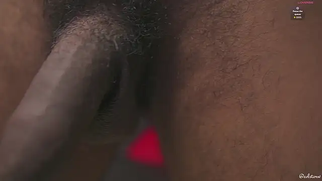 Colstorw_ live sex cam