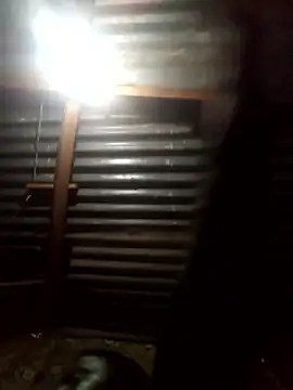 FormosanAct's cam snapshot