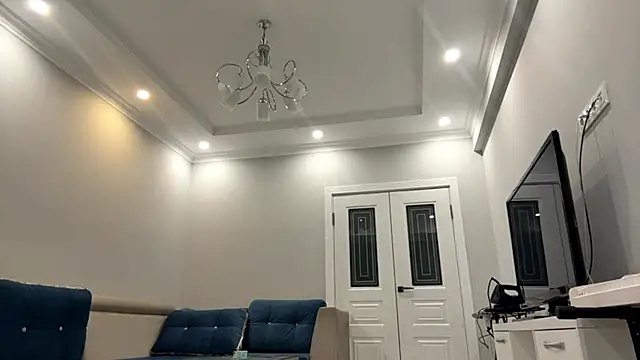 SupremeDividend's cam snapshot