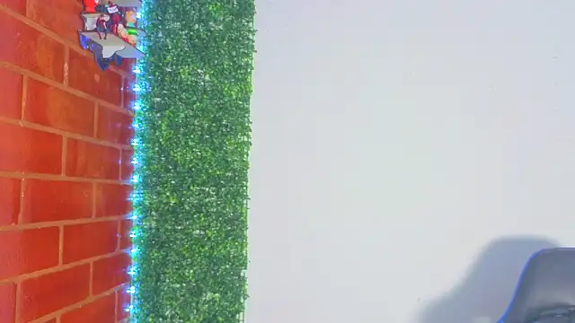 Demitryo's cam snapshot