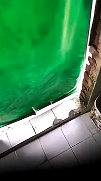 mendelicius live sex cam