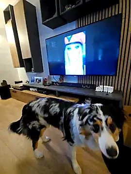 flirt_23's cam snapshot