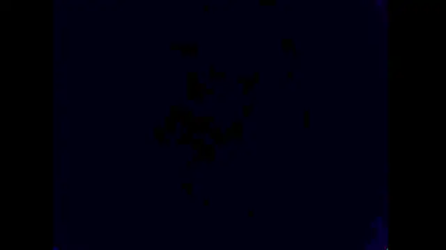 hairyuncut00 live sex cam