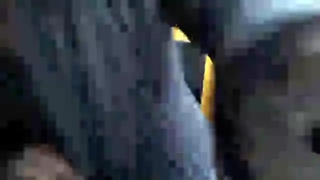 Rush_rosee_150's cam snapshot