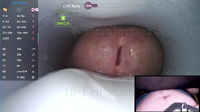 controlmytoys's cam snapshot