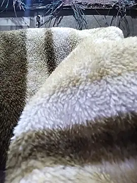 Hot_bhabhi300's cam snapshot