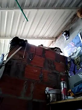 Tussi-amor live sex cam