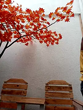 Dante_Knox's cam snapshot