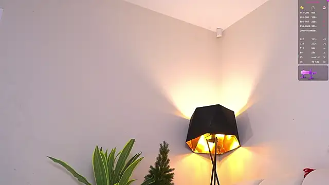 VallieBrandwein live sex cam