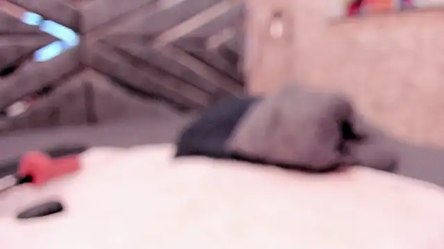 SASHA_BROWNIE__'s cam snapshot