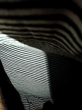 redbull0287's cam snapshot