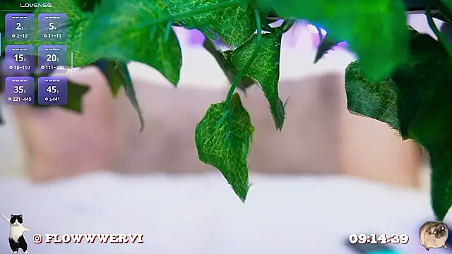 FlowweerGirl's cam snapshot