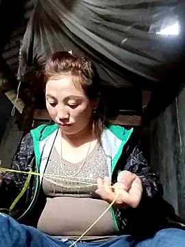 seacyre's cam snapshot