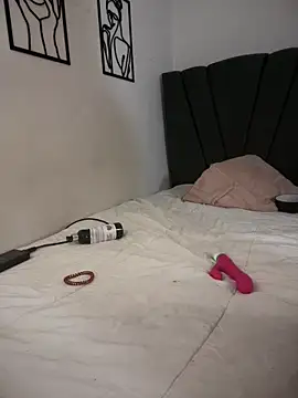 horny_roomiess's cam snapshot