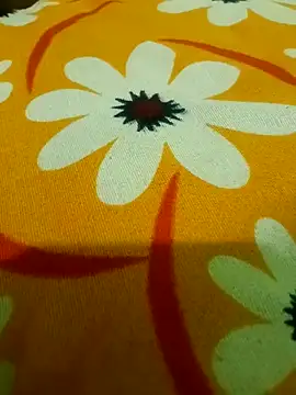 Ranjet01's cam snapshot