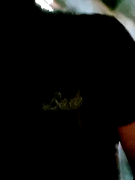 Diana-02's cam snapshot