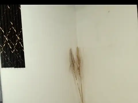 Celeste_ruiz07's cam snapshot