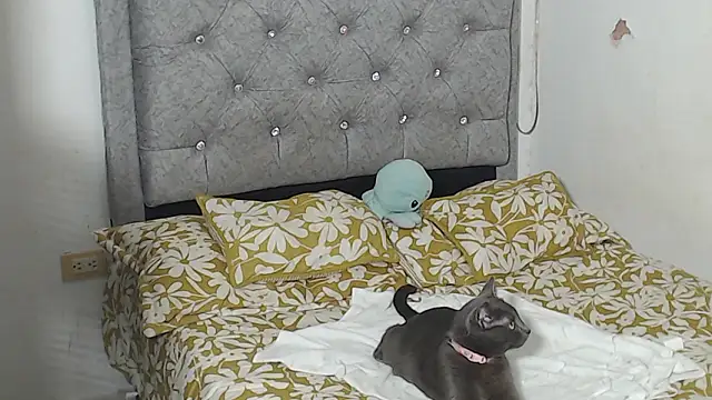 Liza_Thurner's cam snapshot