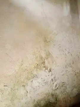 vanvan005's cam snapshot