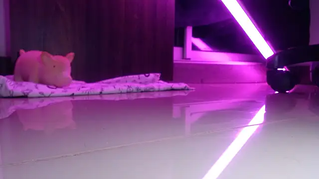 yourmajesty's cam snapshot