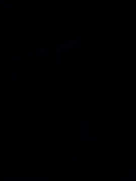 jd24240's cam snapshot