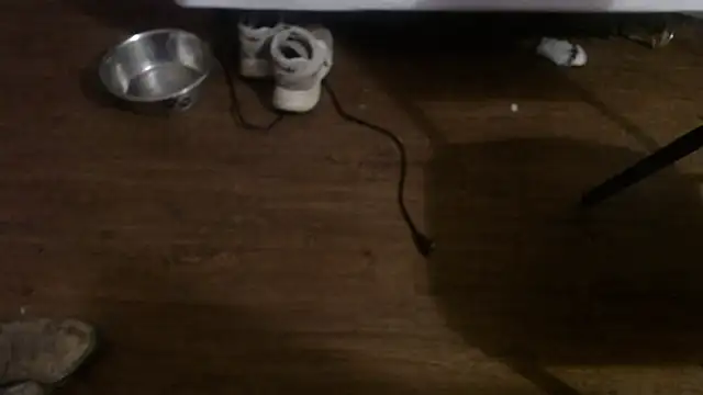 Jorybox's cam snapshot