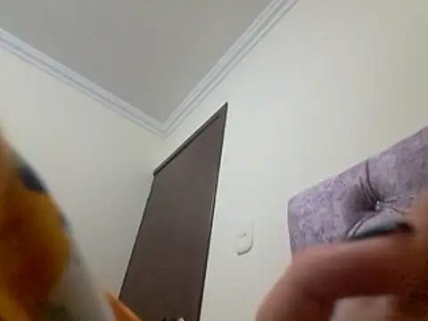 kitty_pi live sex cam